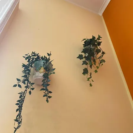 Maria Mari House